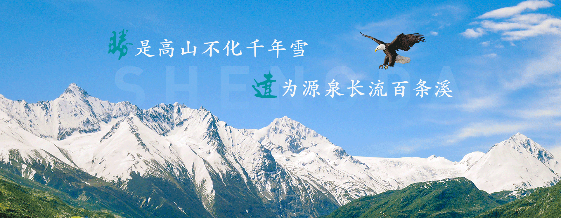 香港公开免费资料大全