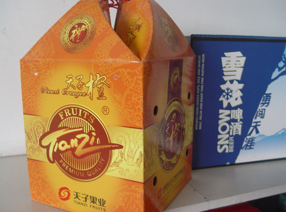 香港公开免费资料大全