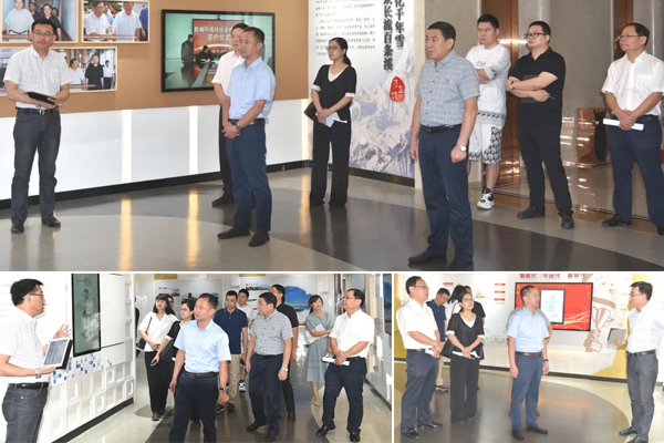 香港公开免费资料大全