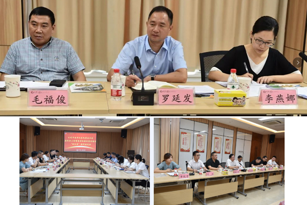 香港公开免费资料大全